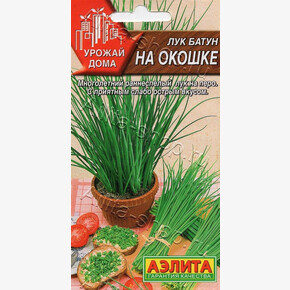 Лук На Окошке/ Аэлита