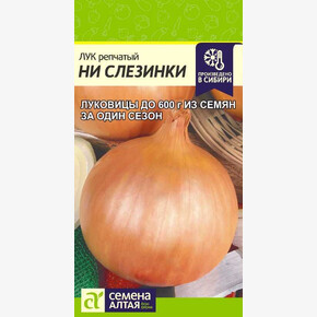 Лук Ни Слезинки/ Семена Алтая