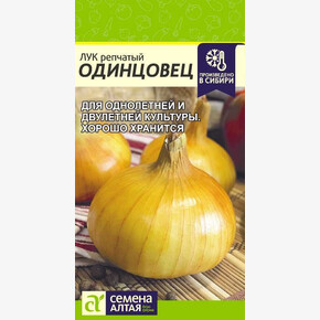 Лук Одинцовец/Сем Алт/цп 0,5 гр.