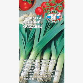 Лук Осенний Красавец/ Седек