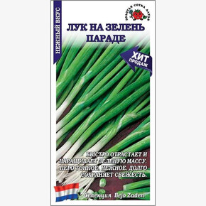 Лук Параде на зелень / Сотка