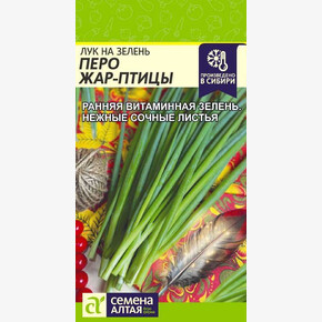 Лук Перо Жар Птицы на зелень/ Семена Алтая