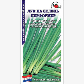 Лук Перформер на зелень / Сотка