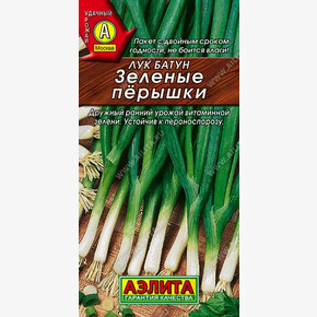 Лук пёрышки 0,5г/ Аэлита