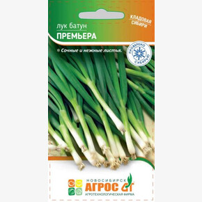 Лук Премьера 1г/ Агрос
