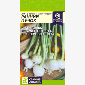 Лук Ранний Пучок/Семена Алтая/цп 0,3 гр.