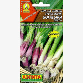 Лук Русские богатыри, смесь 1г/ Аэлита