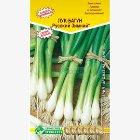 Лук РУССКИЙ ЗИМНИЙ батун (0,5 гр)/ Евросемена