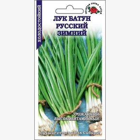 Лук Русский Зимний батун/ Сотка