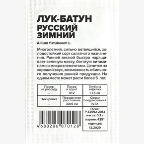 Лук Русский Зимний/Сем Алт/бп 0,5 гр.