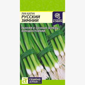 Лук Русский Зимний/Сем Алт/цп 0,5 гр.