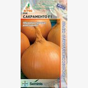 Лук Сакраменто F1 200шт* Seminis, Италия, / Агрос