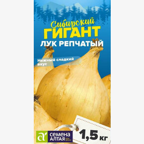 Лук Сибирский Гигант/ Семена Алтая 0,2 гр.