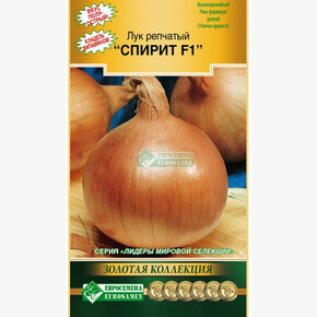 Лук Спирит/ Евросемена