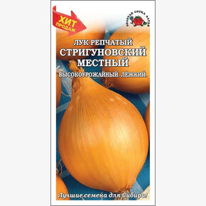 Лук Стригуновский / Сотка