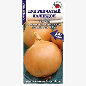 Лук Халцедон /Сотка/ 1 г