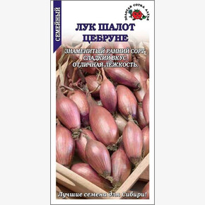 Лук Цебруне /Сотка/ 0,2 г