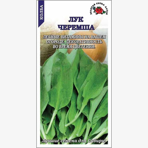 Лук Черемша (колба)/ Сотка