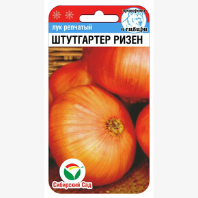 Лук Штутгартер ризен 1г Сиб сад