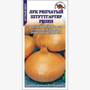 Лук Штутгартер Ризен/ Сотка