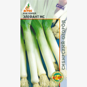 Лук Элефант МС 1г*, Италия, ср/п/ Агрос