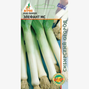 Лук Элефант Порей /Агрос
