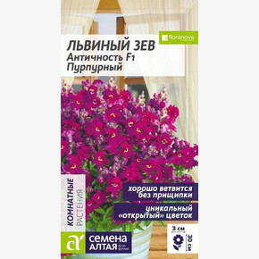 Львиный зев Античность Пурпурный/Семена Алтая/цп 7 шт