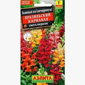 Львиный зев Бразильский карнавал /Аэлита/