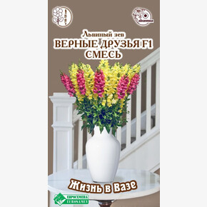 Львиный зев Верные Друзья F1/ Евросемена