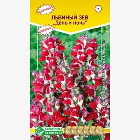 Львиный зев ДЕНЬ И НОЧЬ (0,05 гр)/ Евросемена