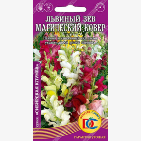 Львиный зев Магический ковер низкорослый /0,1 гр Дем Сиб/