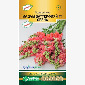Львиный зев МАДАМ БАТТЕРФЛЯЙ СВЕЧА 10 шт/ Евросемена