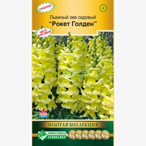 Львиный зев садовый РОКЕТ ГОЛДЕН (10 шт)/ Евросемена