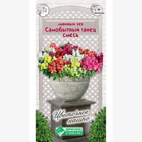 Львиный зев САМОБЫТНЫЙ ТАНЕЦ, смесь 0,1 гр/ Евросемена