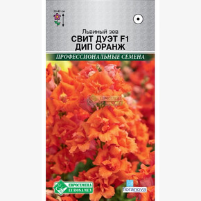 Львиный зев СВИТ ДУЭТ ДИП ОРАНЖ 10 шт/ Евросемена