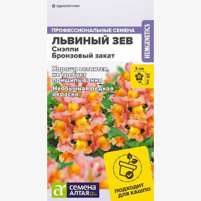 Львиный зев Снэппи Бронзовый закат/Семена Алтая/цп 7 шт.
