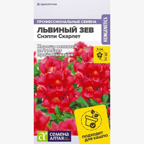 Львиный зев Снэппи Скарлет/Семена Алтая/цп 7 шт.
