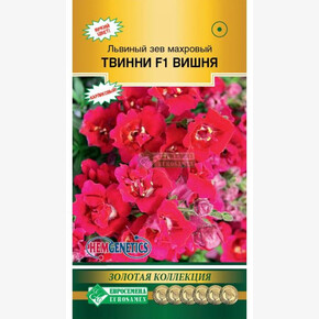 Львиный зев Твинни вишня/ Евросемена