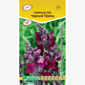 Львиный зев ЧЕРНЫЙ ПРИНЦ (0,1 гр)/ Евросемена