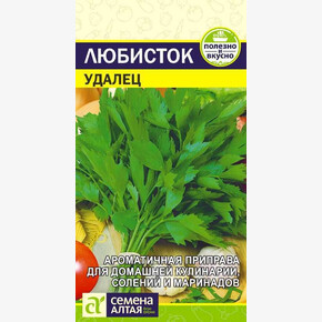 Любисток Удалец/ Семена Алтая