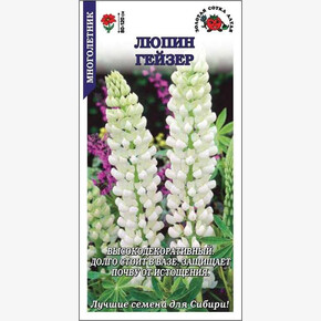 Люпин Гейзер /Сотка/ 0,3 г/ белый h-120см/*900