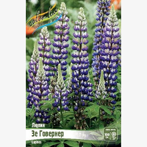 Люпин Говернер