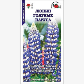 Люпин Голубые Паруса/ Сотка