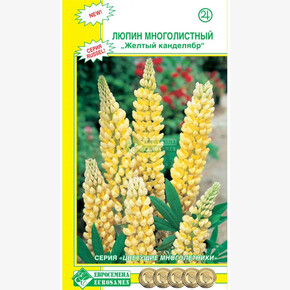 Люпин Желтый Канделябр/ Евросемена