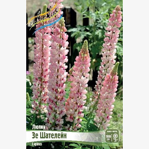 ЛЮПИН ЗЕ ШАТЕЛЕЙН