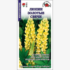 Люпин Золотые Свечи /Сотка/ 0,3г