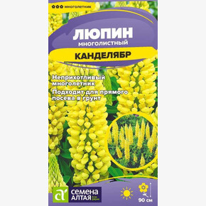 Люпин Канделябр/ Семена Алтая 0,3 гр.