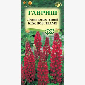 Люпин Красное пламя/ Гавриш