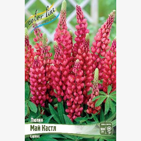 ЛЮПИН МАЙ КАСТЛ