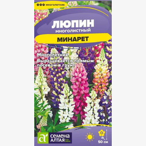 Люпин Минарет/ Семена Алтая
